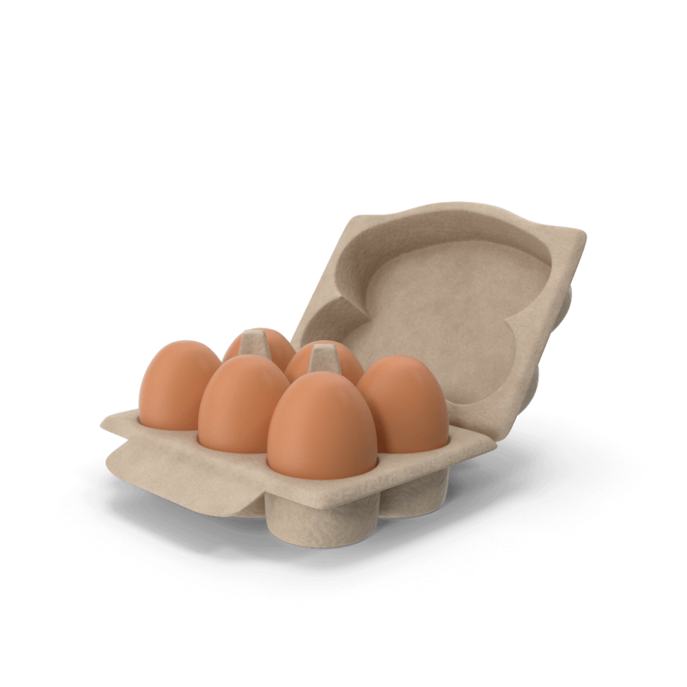 Eggs-Brown-in-Box.H03.2k-2.png