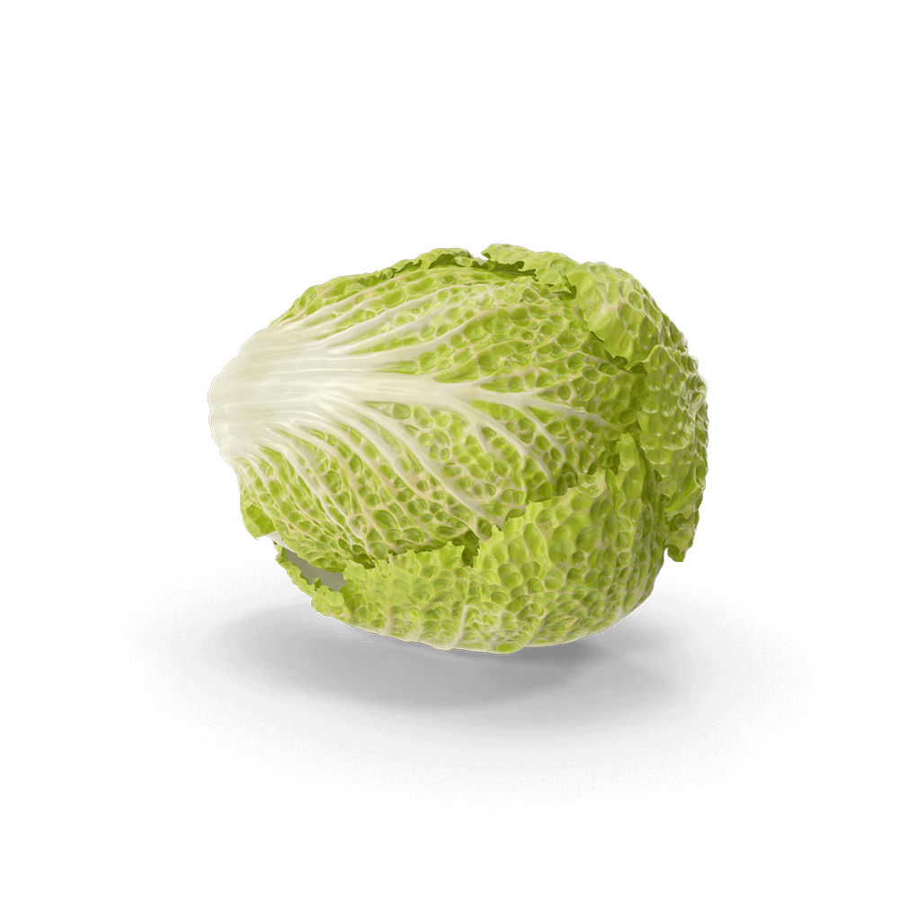 Napa-Cabbage.H03.2k.png