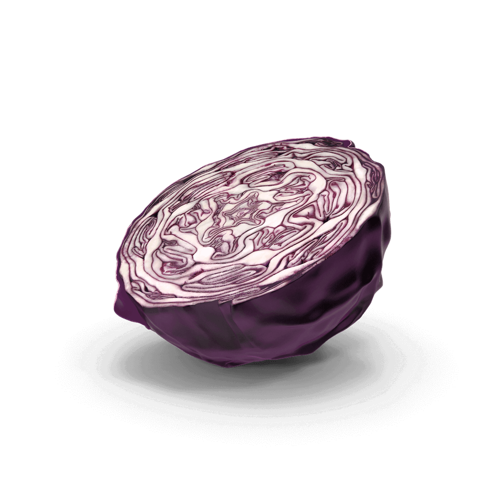 Red-Cabbage.H03.2k-1-1.png