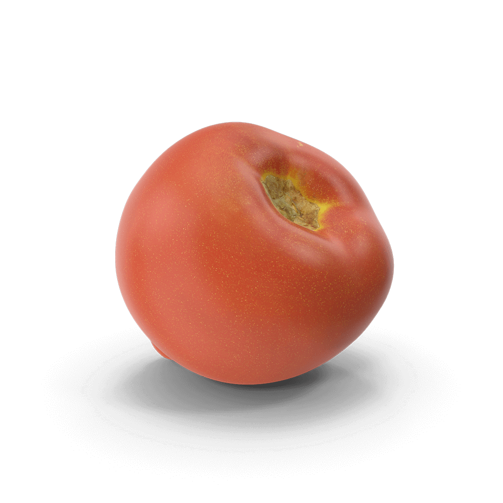 Tomato.H03.2k.png
